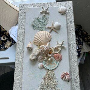 Vintage Sea Shell Wall Decor 14x28  Thick and Strong  1980's